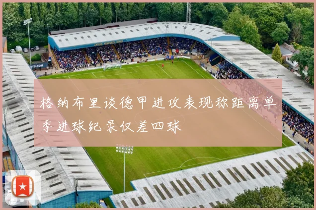 格纳布里谈德甲进攻表现称距离单季进球纪录仅差四球